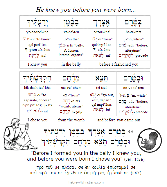 Jeremiah 1:5 Hebrew Lesson