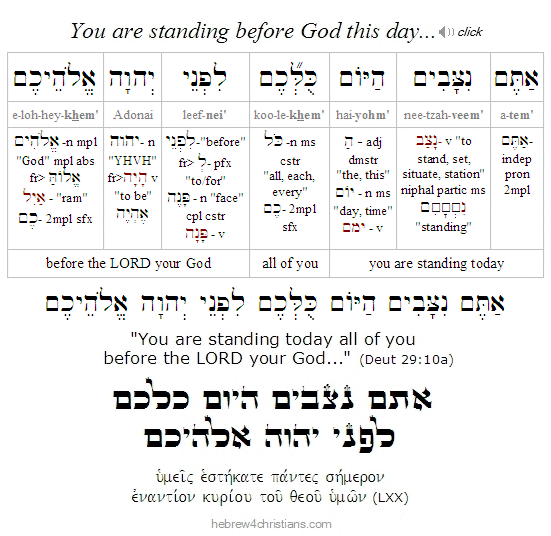 Deut. 29:10 Hebrew analysis