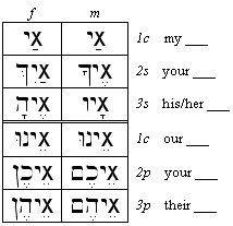 Pronomial Endings (for Plural Nouns)