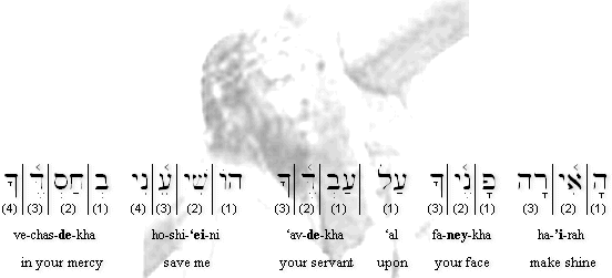 Psalm 31:16[17-h] transliteration