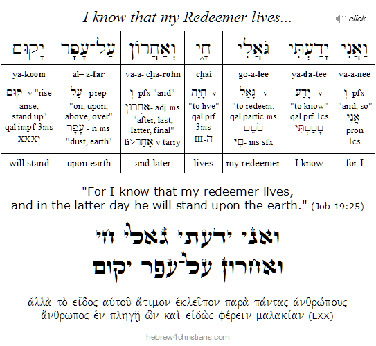 Job 19:25 Hebrew analysis